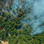 incendios-forestales-en-chile-cambio-climático-y-uso-del-suelo-aumentan-el-riesgo
