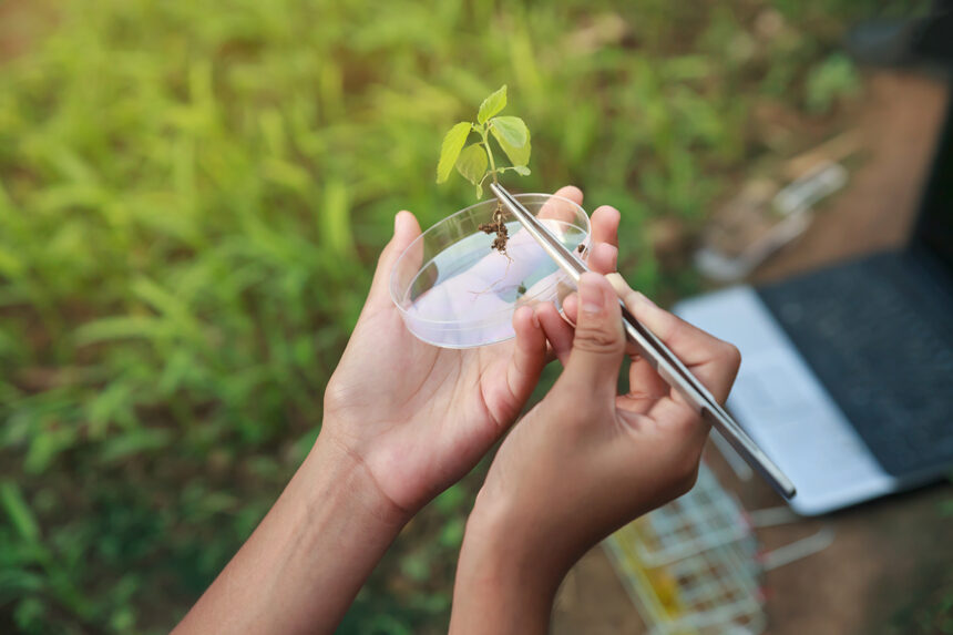 mujeres-en-la-ciencia-liderazgo-femenino-en-la-conservación-de-especies-en-latinoamérica