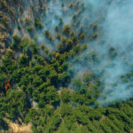 incendios-forestales-agravan-el-calentamiento-global