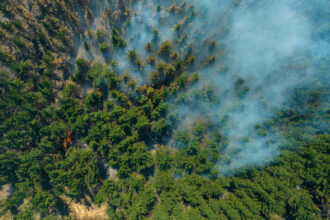 incendios-forestales-agravan-el-calentamiento-global