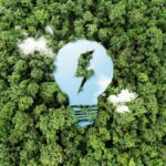A-Dias-Del-Dia-Mundial-Del-Medio-Ambiente