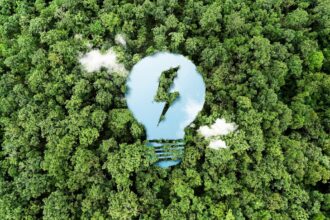 A-Dias-Del-Dia-Mundial-Del-Medio-Ambiente
