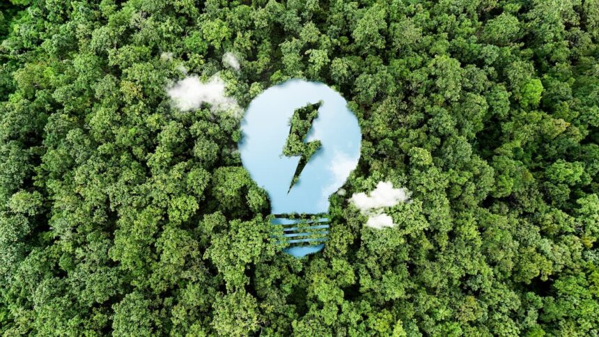 A-Dias-Del-Dia-Mundial-Del-Medio-Ambiente