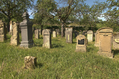 Tim-Burton-Ensena-Cine-Desde-Un-Cementerio-en-Cdmx