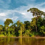 Amazonia-en-Crisis-Rumbo-a-la-COP30