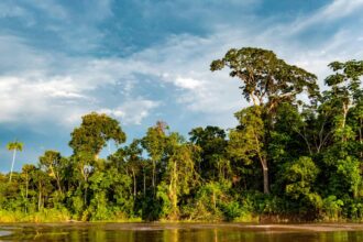 Amazonia-en-Crisis-Rumbo-a-la-COP30
