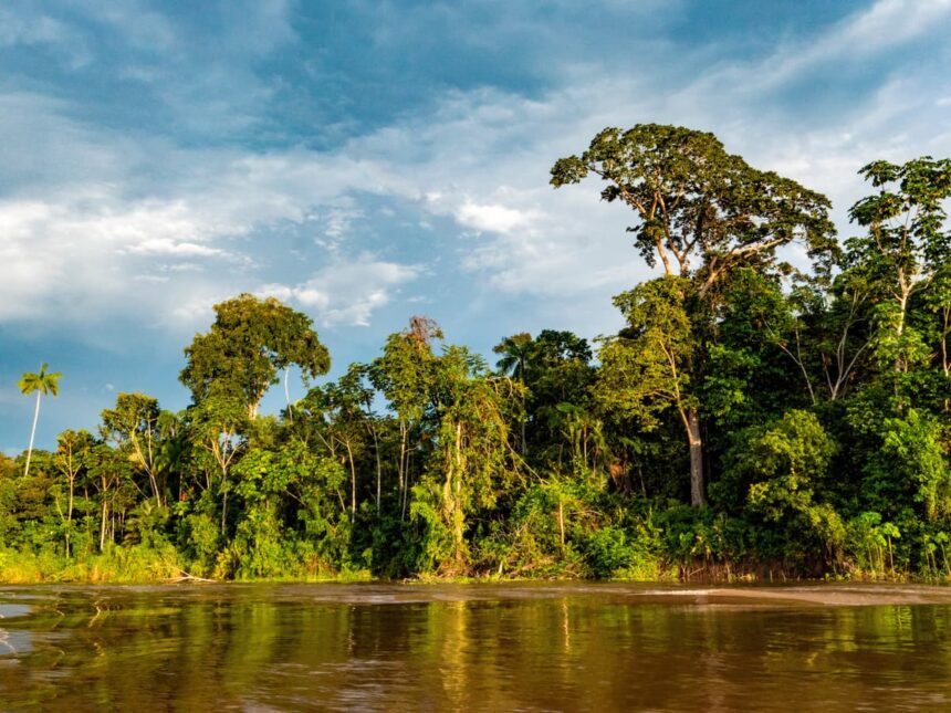 Amazonia-en-Crisis-Rumbo-a-la-COP30