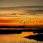 Colombia-El-Refugio-Natural-Preferido-Por-Miles-de-Especies