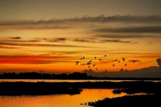 Colombia-El-Refugio-Natural-Preferido-Por-Miles-de-Especies