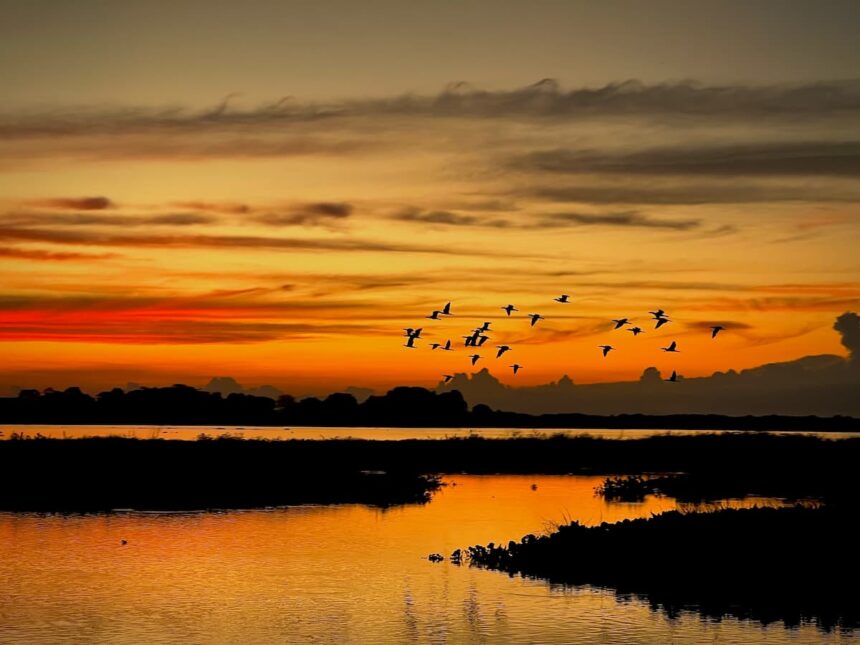 Colombia-El-Refugio-Natural-Preferido-Por-Miles-de-Especies
