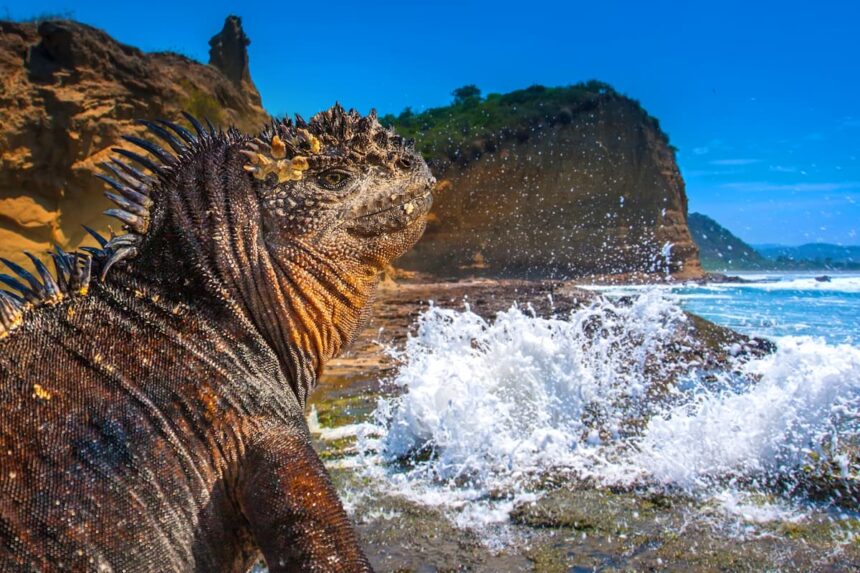 Galapagos-Inaugura-Laboratorio-Contra-Microplasticos