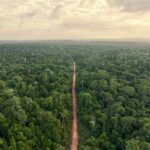 IA-Llega-a-la-Amazonia-Para-Cuidar-Su-Biodiversidad