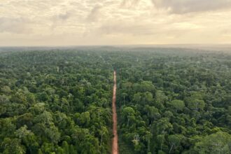 IA-Llega-a-la-Amazonia-Para-Cuidar-Su-Biodiversidad