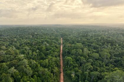 IA-Llega-a-la-Amazonia-Para-Cuidar-Su-Biodiversidad