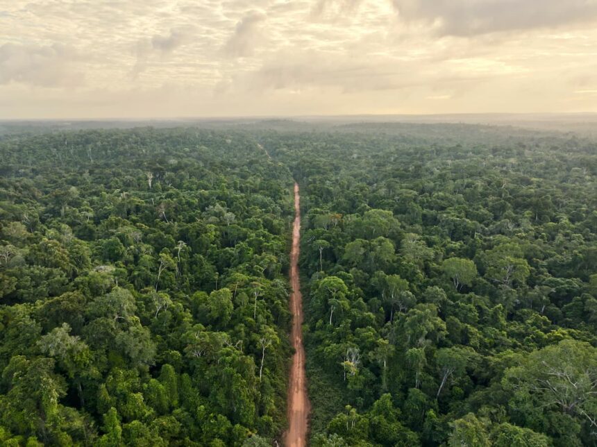 IA-Llega-a-la-Amazonia-Para-Cuidar-Su-Biodiversidad