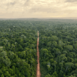 Amazonas-Publica-Mapas-de-Ecosistemas-y-de-Areas-Degradadas