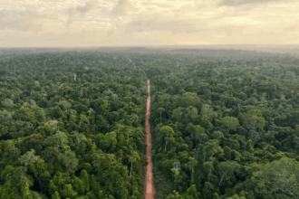 Amazonas-Publica-Mapas-de-Ecosistemas-y-de-Areas-Degradadas