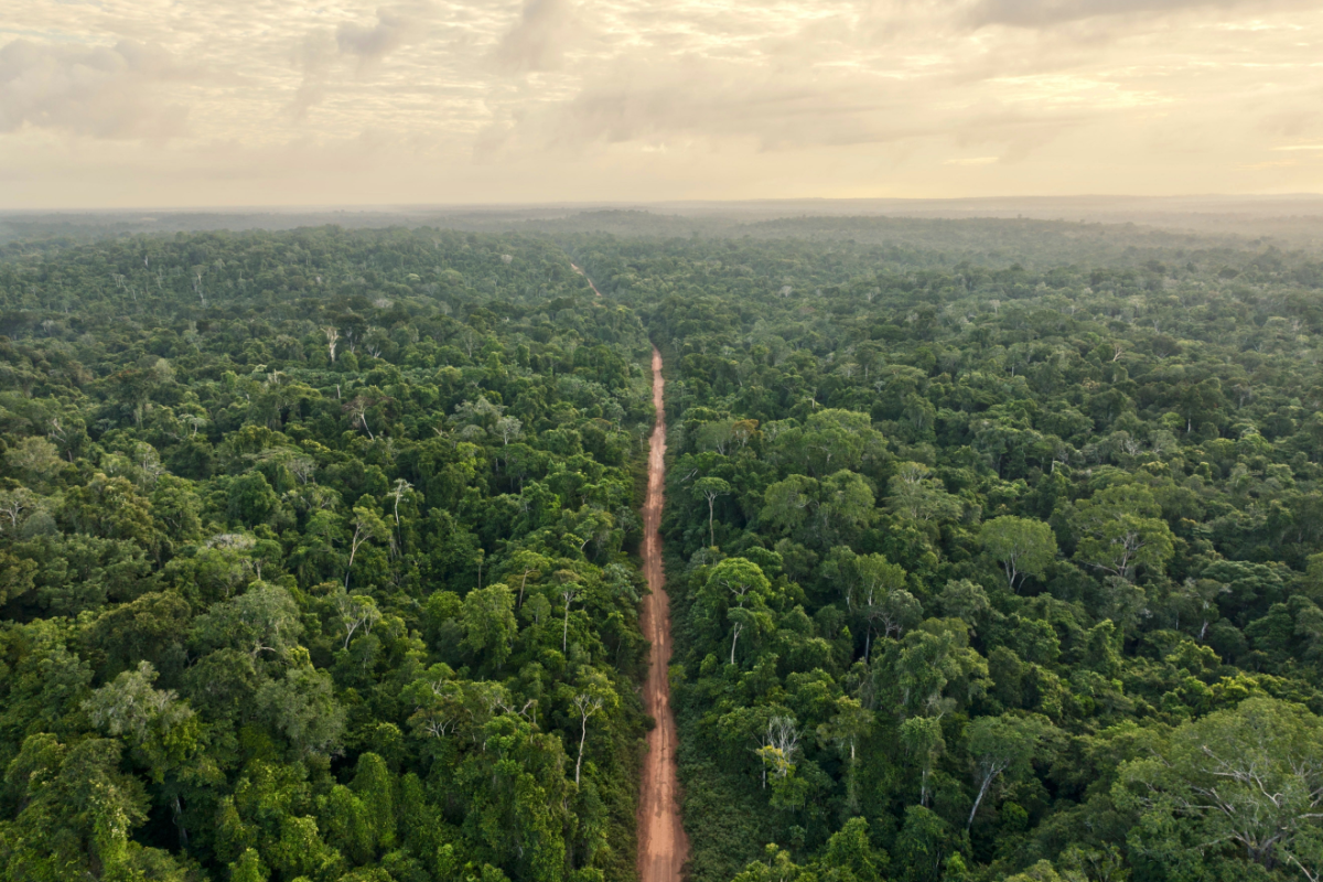 Amazonas-Publica-Mapas-de-Ecosistemas-y-de-Areas-Degradadas