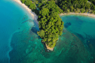 Cafe-de-Costa-Rica_-identidad-en-cada-taza