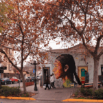 Chile-proyecta-dos-millones-de-viajes-por-Fiestas-Patrias-2025