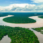 Reproduccion-en-cautiverio-de-la-cucha-en-la-Amazonia