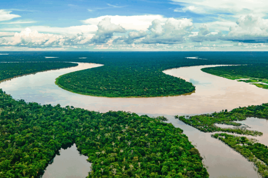 Reproduccion-en-cautiverio-de-la-cucha-en-la-Amazonia